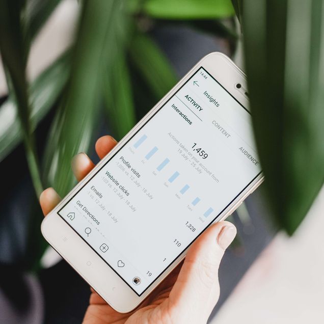 iPhone against some leaves showing social media analytics: activity, content, audience, interactions, etc. [Unioncrate]